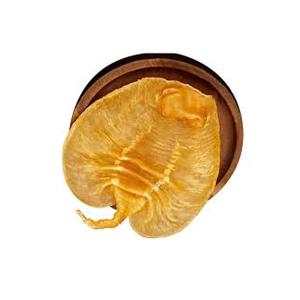 Proveedor de tripas de pescado secas al sol naturalmente - Exportación a granel de tripas de pescado con alto contenido de colágeno - Product Image 1