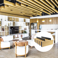 Système de plafond suspendu ignifuge en aluminium en forme de U pour hôtel et salle de sport - Plafonds métalliques modernes avec revêtement en poudre