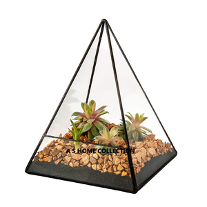 Matériau décoratif à la mode en fer et en verre Formes uniques Terrarium fini noir Accent de maison de luxe - Product Image 2