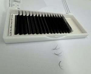 Extensions de cils 12/16 rangées, plateau de cils YY, faits à la main, courbure CC/DD/M/L, épaisseur 0,07, synthétique PBT coréen, naturel, doux - Product Image 3