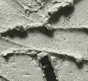 OEM coreano Heartleaf polvo de lavado suave 100mL limpiador por ERIGERON - Product Image 2