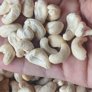 Noix de cajou de toutes tailles, brutes, noyaux de cajou, Kaju Badam SANTIGO, livraison gratuite directe d'usine, délai de livraison court - Product Image 1