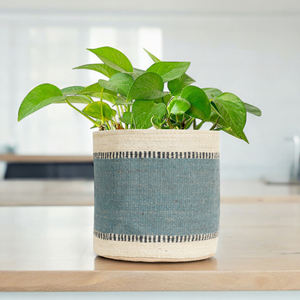 Maceta Tejida a Mano de Hierba Marina con Rayas Coloridas para Decoración de Jardín Interior y Exterior, Macetas y Jardineras - Product Image 6