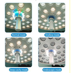 <span class=keywords><strong>Lampe</strong></span> chirurgicale portable sans ombre certifiée CE ChenHong, LED murale pour vétérinaire, alimentation électrique CHGLED 500 300W, fixation par bride - Product Image 6