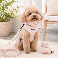 Ensemble Harnais Floral pour Chien Réglable Anti-Traction avec Collier, Laisse, Bandana, Nœud et Porte-Sac à Déchets pour Chiens de Petite et Moyenne Taille
