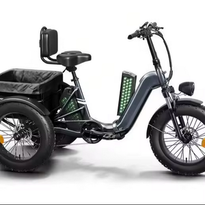 Bicicleta Eléctrica para Adultos con Marco de Aluminio, 12 Velocidades, Alcance de 110 Millas, Carga de 500 LB, Neumático Grueso de 24'', Triciclo con Canasta Grande y Batería Trasera de Litio - Product Image 1
