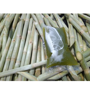 Venta al por mayor de varitas de caña de azúcar congeladas de Vietnam, naturalmente dulces y perfectas para hacer jugos y bebidas saludables - Product Image 6