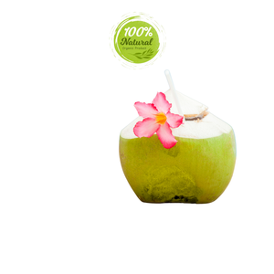 มะพร้าวสดที่มีรสชาติของเวียดนามผลิตภัณฑ์ทางการเกษตร - Product Image 2