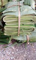 Vente chaude d'emballages de feuilles de bananier de qualité supérieure pour la cuisine