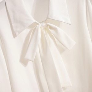 Mùa Xuân Mùa Hè 2025 Cộng Với Kích Thước Voan Áo Phụ Nữ Phụ Nữ Văn Phòng Màu Đen Hoặc Trắng Áo Sơ Mi Và Áo Kích Thước Lớn Áo Sơ Mi Lỏng Lẻo Áo Cánh - Product Image 4