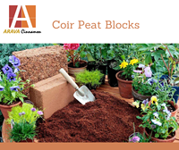 Bloc de tourbe de coco Arava Premium 5KG 100% naturel biodégradable, substrat de culture 30cm x 30cm x 12cm, pH 5.5-6.8, durée de conservation 1 an, certifié OMRI