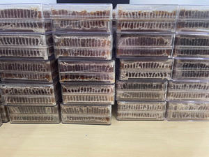 Delicia de la Colmena a la Mesa: Panal de Miel Cruda, Cosechado de Forma Sostenible, Brinda Dulzura Pura, para los Amantes de la Comida Ecológica a Diario - Product Image 5