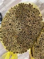 Cannelle de Cassia du Vietnam de haute qualité, nouvelle récolte, en morceaux brisés de 5-15 cm, épices en poudre du Vietnam (0084 398885178)