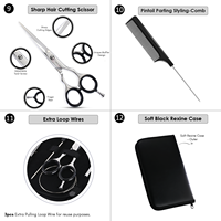 Nuovo Kit Professionale di Strumenti per Extension Capelli in Acciaio Inossidabile Chirurgico, Pinza per Rimozione Micro Anelli, Uncinetto per Dreadlock