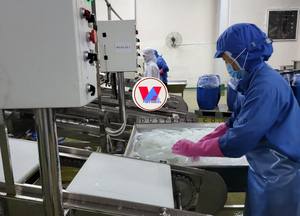 Vietnam Origin Coconut Jelly | Consistent Texture | Wholesale - Product Image 2