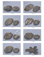 Bol à fruits décoratif pour la maison, style Art déco, finition argentée antique, aluminium écologique, personnalisable, pour Diwali, Ramadan, mariage, service