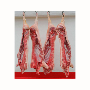 Principal exportateur polonais de corps d'épaule de porc séché et congelé et de carcasse avec vitamines dans un emballage en sac ou en boîte - Product Image 2