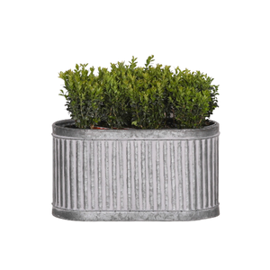 Jardinera de metal texturizado para decoración del hogar en el mejor precio de la India - Product Image 1