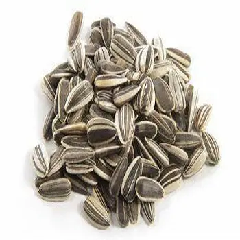 Premium Factory Supplier Wholesale Sunflower Seed 361 Sunflower Seeds Fresh Sunflower Seeds