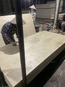 Embalaje vietnamita de madera contrachapada BC principalmente pino para uso en almacén solo $199/CBM - Product Image 4