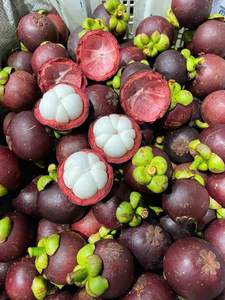 VENTE EN GROS MANGOSTEEN CONGELÉ VIETNAMIEN/CHOIX CHAUD POUR L'ASIE, L'EUROPE ET LES ÉTATS-UNIS 2025 - Product Image 6