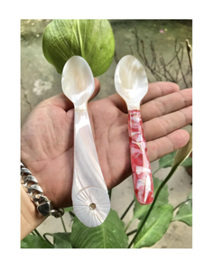 ช้อนตักหอยมุกสไตล์ชายหาดช้อนเปลือกหอยสำหรับธีมชายฝั่ง - Product Image 1