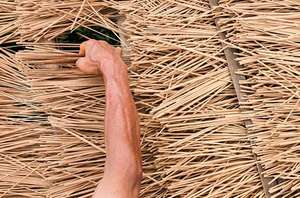 ผง Joss jigat ของเวียดนามผง Litsea เปลือกไม้ราคาขายส่ง - Product Image 5