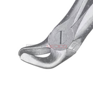 คีมถอนฟันขนาดต่างๆ11ขนาดขายส่ง - Product Image 5