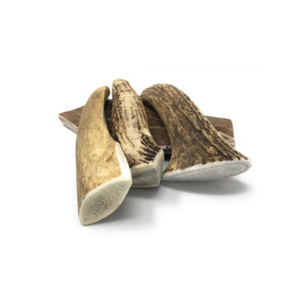 เขากวางแดงคุณภาพดีที่สุด - Product Image 6