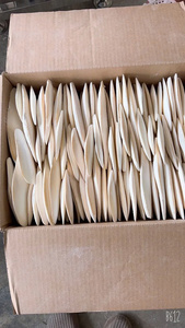 <b>CHEAP</b> Dried Cuttlefish Bone Natural White Oval Shape For Bird Feeding And Craft Use - Product Image 5