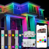 Control inteligente rgbw led pixel led luces navideñas ucs7604 1,02 W 4 wire 48V pixel LED Point lights