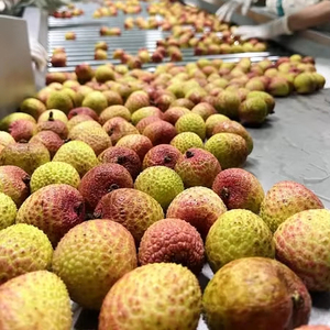 Litchis surgelés IQF du Vietnam |   Conservé dans l'eau |   Sucre naturel |   Exportation en gros - Product Image 1