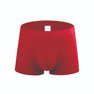 Sous-vêtements pour hommes, slips respirants sexy à taille mi-haute, boxer en nylon de haute qualité, logo personnalisé, marques classiques en élasthanne - Product Image 6
