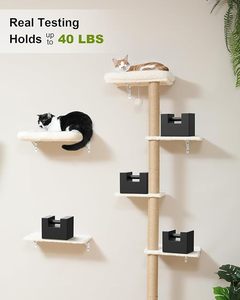 <b>Cat</b> <b>Wall</b> <b>Shelves</b> Eco-Friendly 4-Level <b>Wall</b> Mounted <b>Cats</b> Furniture Set Kitten Scratching Post Sisal Wood Soft Cushion Perch Space - Product Image 4