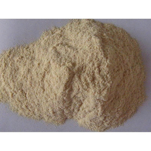 GROS TOP VENTES POUDRE DE BAMBOU QUALITÉ SUPÉRIEURE HOT DEAL PRODUIT BIOLOGIQUE FOURNISSEUR EN VRAC PRÊT À L'EMPLOI - Product Image 6