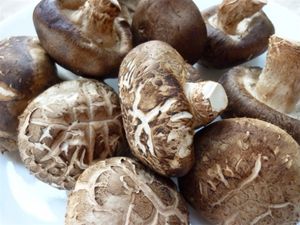 Hongos Shiitake secos nutritivos a granel/Seta Shiitake para cocinar-Sra. Shyn Tran - Product Image 6
