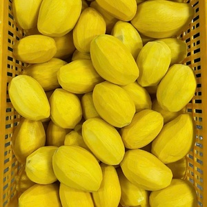 Tranches de mangue congelées à moitié douces IQF du Vietnam les plus vendues - Product Image 1