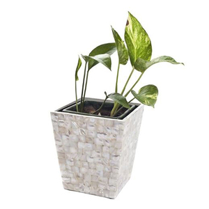 Maceta y macetas de mesa hechas a mano de trabajo de nácar, diseñador moderno, forma clásica personalizada, pares de nácar de 2 - Product Image 3