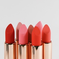Natinda maquillage coréen OEM ODM OBM 12 rouge à lèvres brun humeur en noir 3.5g Collection de rouges à lèvres inspirés de l'art