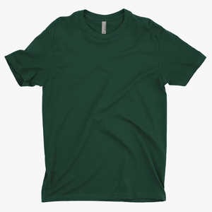 Next level Apparel Men's CVC Camisetas de cuello redondo Personalizar Next Level Apparel Camisetas personalizadas - Product Image 4
