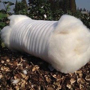 Forte demande de fibre de coton brut à des prix abordables - Product Image 5