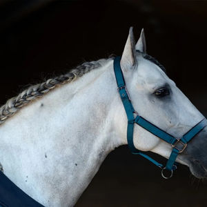 Bridon de cheval professionnel de bonne qualité, logo personnalisé, best-seller, prix bas, licols en cuir pour chevaux à vendre - Product Image 2