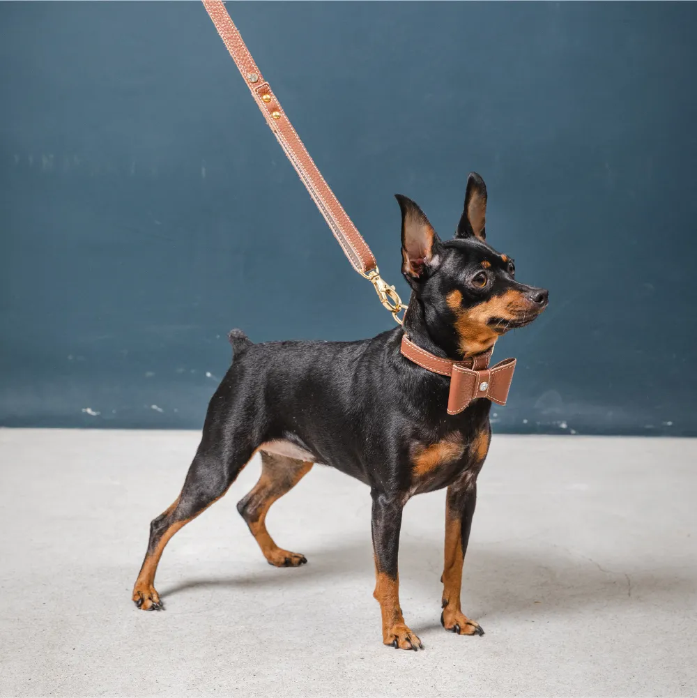 Personalized Brand Popular Luxury Designer Custom Genuine Dog Long Leather Leash