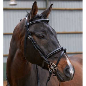 Bride Flash surélevée avec rênes Bride de cheval en cuir véritable coloré de luxe en Inde Cheval en cuir véritable multicolore chaud - Product Image 1