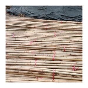 Poste de bambú de fábrica con tamaño personalizado para agricultura/Poste de bambú natural de Vietnam de alta calidad/Poste de bambú Premium - Product Image 4