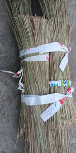 Escoba de Fibra de Coco Dura, Ideal para Garajes, Talleres, Caminos Exteriores, Apta para Negocios Comerciales y de Exportación - Product Image 3