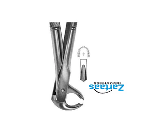 Pince d'extraction en acier inoxydable de haute qualité molaires inférieures fig 73S exportateurs et fabricant - Product Image 3