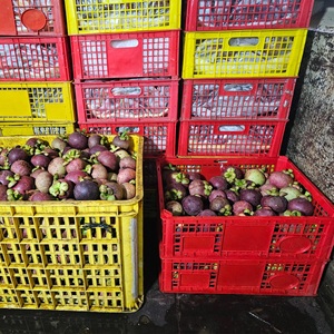 High Quality Mangosteen 70-90g/piece Delicious <b>Sour</b> <b>Sweet</b> Common Cultivation Fresh Tropical Fruit - Product Image 6