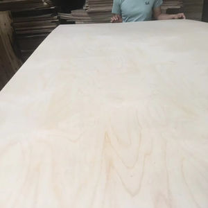 Contrachapado Comercial de Abedul E2 Ecológico Bintangor de 3mm, 1220x2440mm, para Uso en Hoteles, Precio Bajo - Product Image 2