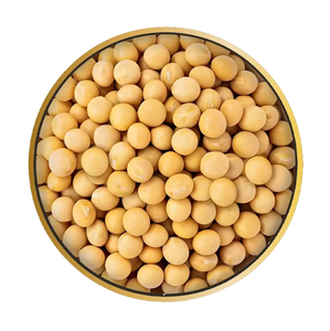 Soja canadien biologique 100 % pur et naturel / Grains de soja séchés au meilleur prix de gros - Product Image 6